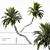 Tropical Paradise Palm Tree 3D model small image 1