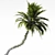 Tropical Paradise Palm Tree 3D model small image 4