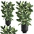 Exotic Jungle: Vig Planter, Set of 2 - Tropical Plants 3D model small image 1