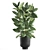 Exotic Jungle: Vig Planter, Set of 2 - Tropical Plants 3D model small image 4