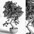 Breathtaking Bonsai: Plant_bonsai_01 3D model small image 4