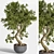 Breathtaking Bonsai: Plant_bonsai_01 3D model small image 5
