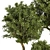 Large Outdoor Tree Plant 01 3D model small image 4