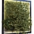 Green Wall Set: Botanical Bliss for Your Space 3D model small image 3