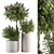 Lush Lavender Tree Trio: Outdoor Plant Set 3D model small image 5