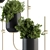 Vertical Wall Planter - Indoor Plant Holder 3D model small image 4