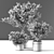 Modern Indoor007 Plant Décor 3D model small image 5