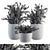 Blossoming Beauty: Outdoor Flower Bush 3D model small image 4