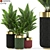 Evergreen Plant Set - 453 3D model small image 1