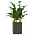 Evergreen Plant Set - 453 3D model small image 3