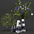 Versatile Plant Collection: 3dsMax + Vray/Corona 3D model small image 2