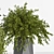 Multi-Part Indoor Plant Set 3D model small image 3