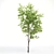 Elevated Elder Tree: Polys 555,232 3D model small image 2