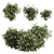 Blooming Bliss - Floral Bush Set 3D model small image 1