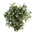 Blooming Bliss - Floral Bush Set 3D model small image 3