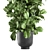 Tropical Plant Collection: Exotic Ficus Lyrata in Grey Vig Planters 3D model small image 2