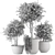 Rustic Outdoor Plant Bush & Tree Set 3D model small image 5