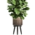 Tropical Plant Collection in Rattan Basket 3D model small image 2