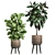 Tropical Plant Collection in Rattan Basket 3D model small image 4