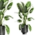 Exotic Plant Collection | Tropical & Indoor Plants 3D model small image 1