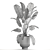 Exotic Plant Collection | Tropical & Indoor Plants 3D model small image 5