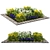 Durable Polys Outdoor Plant 3D model small image 7