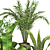 Green Oasis: Assorted Plant Collection 3D model small image 5
