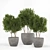 Concrete Pot Outdoor Tree 3D model small image 1