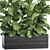 Exotic Plant Collection: Ficus Lyrata & More! 3D model small image 2