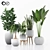 Indoor Plant Collection for Interior Design 3D model small image 1