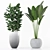 Indoor Plant Collection for Interior Design 3D model small image 4