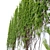 Elegant Vine Plant - 3m Height 3D model small image 3