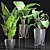 Exquisite Alocasia Collection: 210 Plants 3D model small image 6