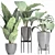 Exquisite Alocasia Collection: 210 Plants 3D model small image 3