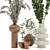  Rusty Concrete Indoor Plant Set 3D model small image 2