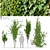 4-in-1 Vine Plant: Lush and Tall 3D model small image 1