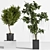 Ultimate Indoor Plant Set 3D model small image 2