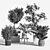 Ultimate Indoor Plant Set 3D model small image 5