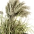 Pampas Bush Set - Outdoor Beauty 3D model small image 4