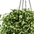 Green Haven: Indoor Hanging Plant Set 3D model small image 2