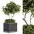 Nature's Oasis: Outdoor Tree Set 3D model small image 1