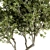 Nature's Oasis: Outdoor Tree Set 3D model small image 4