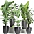 Tropical Plant Trio: Banana, Palm, Alocasia 3D model small image 1