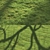 Scattered Grass Board - 14 Patterns 3D model small image 6