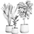 Tropical Plant Collection: Ficus Lyrata, Banana Palm 3D model small image 5