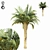 Tropical Paradise: Palm Tree 11s 3D model small image 1