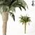 Tropical Paradise: Palm Tree 11s 3D model small image 2