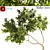 Lush Alder Tree: A Natural Beauty 3D model small image 1