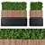 Lush Green Plant Collection Vol. 120 3D model small image 1