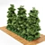 Slim Hinoki Cypress Tree - Perfect for Small Yards 3D model small image 4